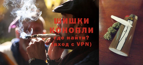 молекула духа Волоколамск