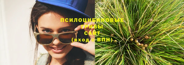 молекула духа Волоколамск