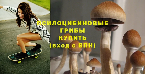mix Бородино