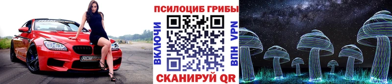 блэк спрут tor Дубовка Псилоцибиновые грибы мицелий наркошоп